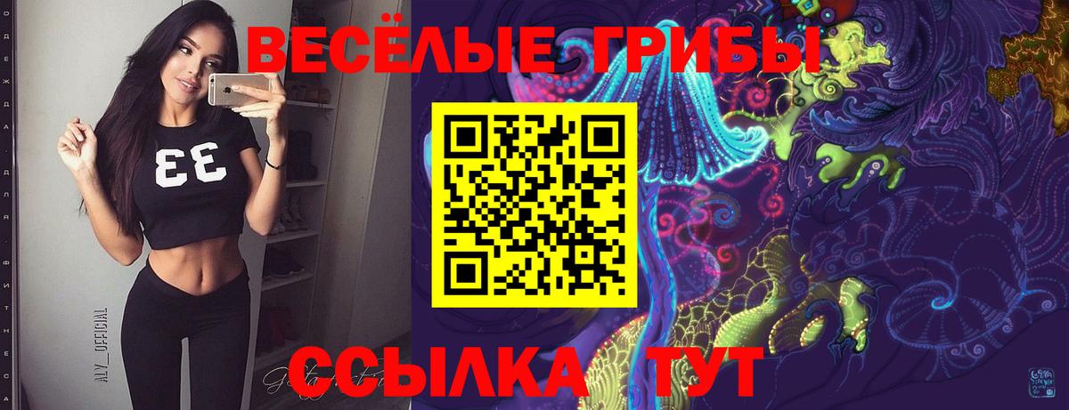 Галлюциногенные грибы Psilocybine cubensis  сколько стоит  Ленинск-Кузнецкий  Вход с VPN 